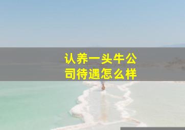 认养一头牛公司待遇怎么样