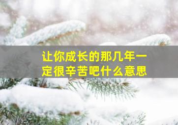 让你成长的那几年一定很辛苦吧什么意思