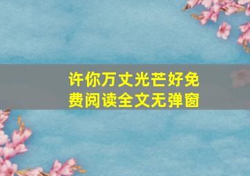 许你万丈光芒好免费阅读全文无弹窗