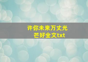 许你未来万丈光芒好全文txt