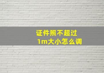 证件照不超过1m大小怎么调