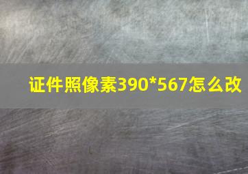 证件照像素390*567怎么改