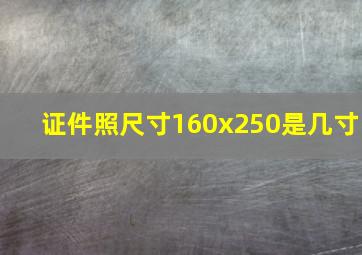 证件照尺寸160x250是几寸