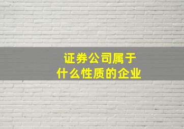 证券公司属于什么性质的企业