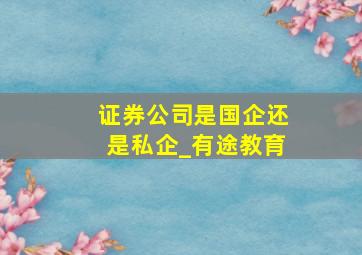 证券公司是国企还是私企_有途教育