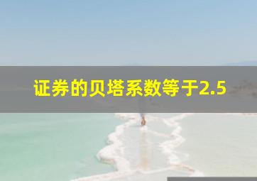 证券的贝塔系数等于2.5