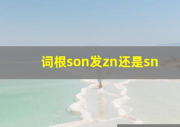 词根son发zn还是sn