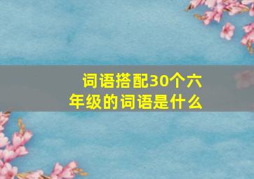 词语搭配30个六年级的词语是什么