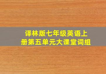 译林版七年级英语上册第五单元大课堂词组