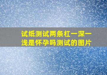 试纸测试两条杠一深一浅是怀孕吗测试的图片