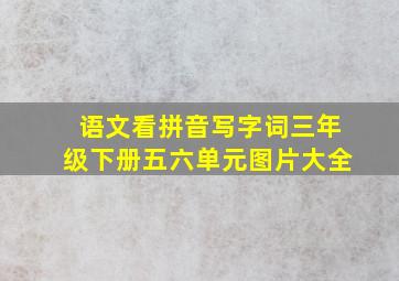 语文看拼音写字词三年级下册五六单元图片大全