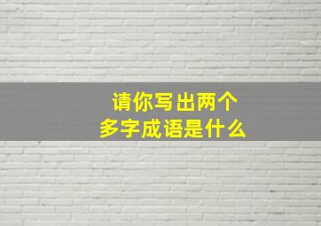 请你写出两个多字成语是什么