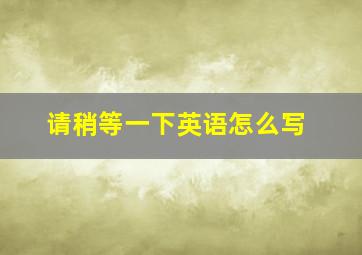 请稍等一下英语怎么写