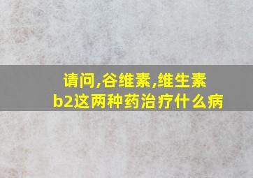 请问,谷维素,维生素b2这两种药治疗什么病