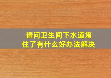 请问卫生间下水道堵住了有什么好办法解决