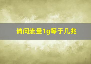 请问流量1g等于几兆