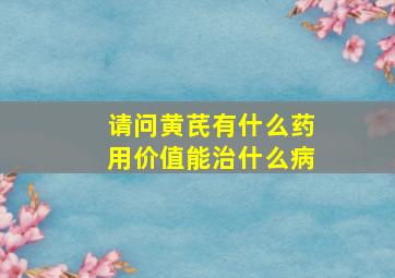 请问黄芪有什么药用价值能治什么病