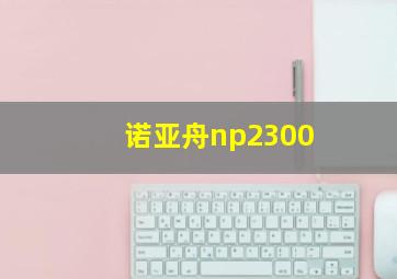 诺亚舟np2300