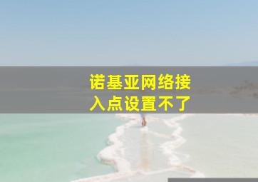 诺基亚网络接入点设置不了