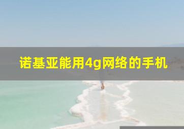 诺基亚能用4g网络的手机