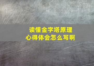 读懂金字塔原理心得体会怎么写啊