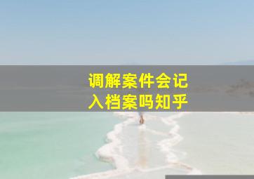 调解案件会记入档案吗知乎