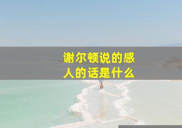 谢尔顿说的感人的话是什么