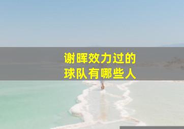 谢晖效力过的球队有哪些人