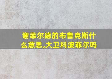 谢菲尔德的布鲁克斯什么意思,大卫科波菲尔吗