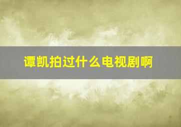 谭凯拍过什么电视剧啊