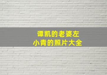 谭凯的老婆左小青的照片大全