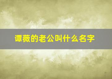 谭薇的老公叫什么名字