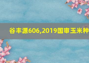 谷丰源606,2019国审玉米种