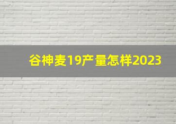 谷神麦19产量怎样2023