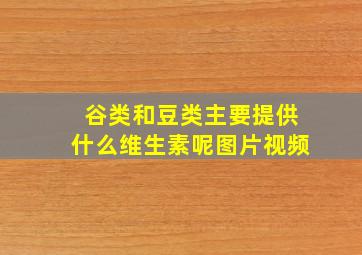 谷类和豆类主要提供什么维生素呢图片视频