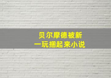 贝尔摩德被新一玩捆起来小说