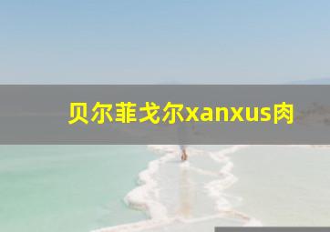 贝尔菲戈尔xanxus肉