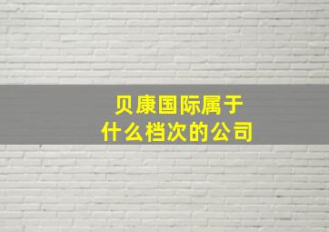 贝康国际属于什么档次的公司