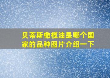 贝蒂斯橄榄油是哪个国家的品种图片介绍一下