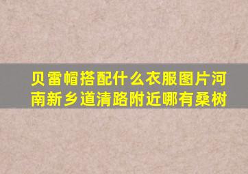 贝雷帽搭配什么衣服图片河南新乡道清路附近哪有桑树