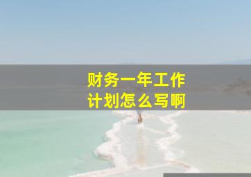 财务一年工作计划怎么写啊