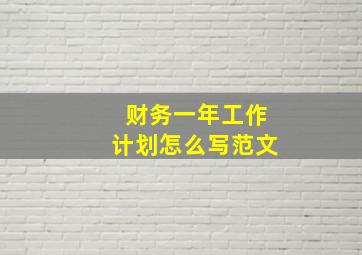 财务一年工作计划怎么写范文