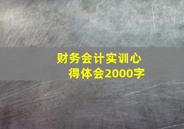 财务会计实训心得体会2000字