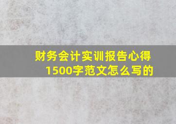 财务会计实训报告心得1500字范文怎么写的