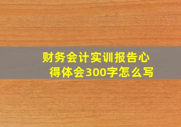 财务会计实训报告心得体会300字怎么写