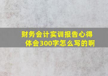 财务会计实训报告心得体会300字怎么写的啊