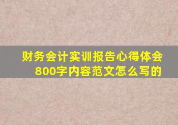 财务会计实训报告心得体会800字内容范文怎么写的