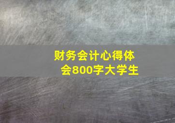 财务会计心得体会800字大学生