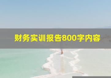 财务实训报告800字内容