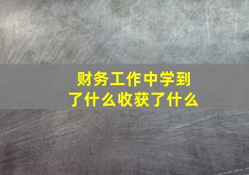 财务工作中学到了什么收获了什么